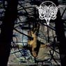 Blasphemical Procreation